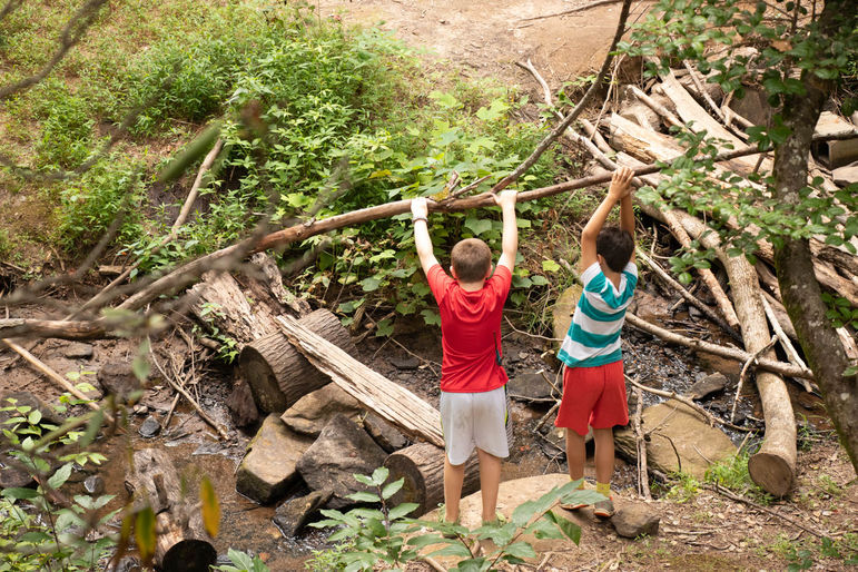 Collecting supplies to build one more fort