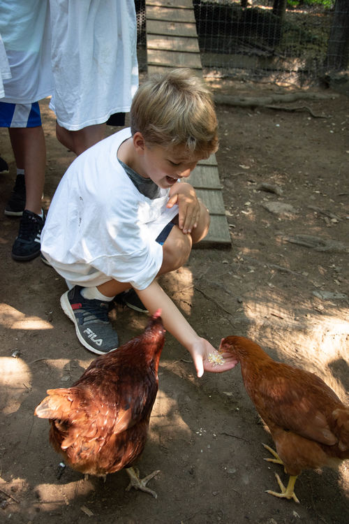 Feeding our fine feathered friends!