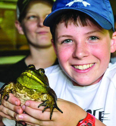 Camper holding a frog at camp.