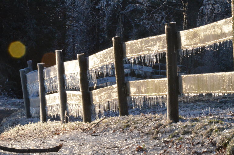 Tuxedo Park Fence