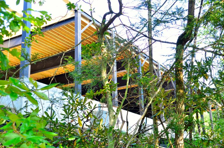 View from the upper lake road near the rope swing