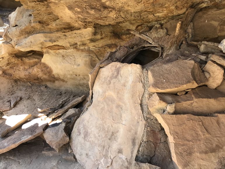 A grainery from the historical sites at Desolation Canyon. The Fremont Indians used them to store various items, such as food, along the river corridor. They are made with sticks and mud, and would have a capstone covering the hole in the top to keep dust and animals out.