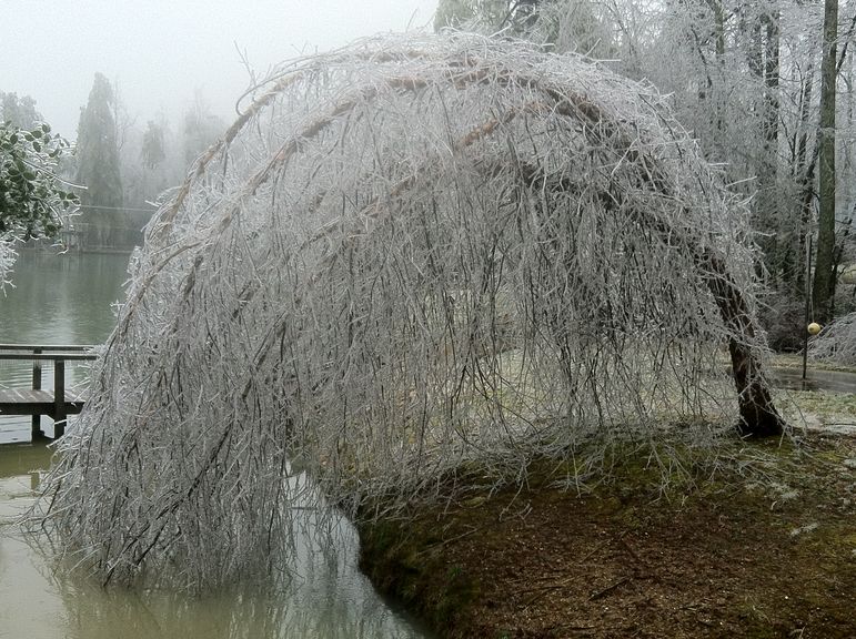 Looking out toward the swim docks on the upper lake