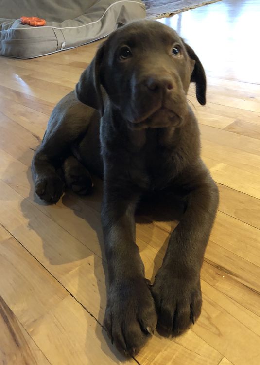 I can’t wait to meet you at camp this summer!