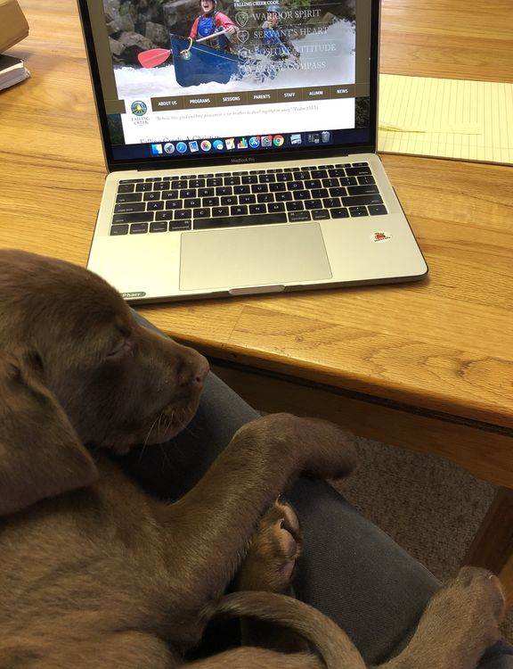 Working in the camp office is ruff!
