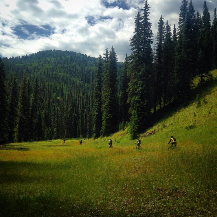 Falling Creek CRANK Utah