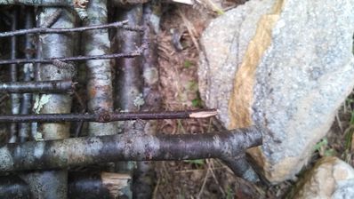 These jagged edges are easy to fix as long as you use dry wood.